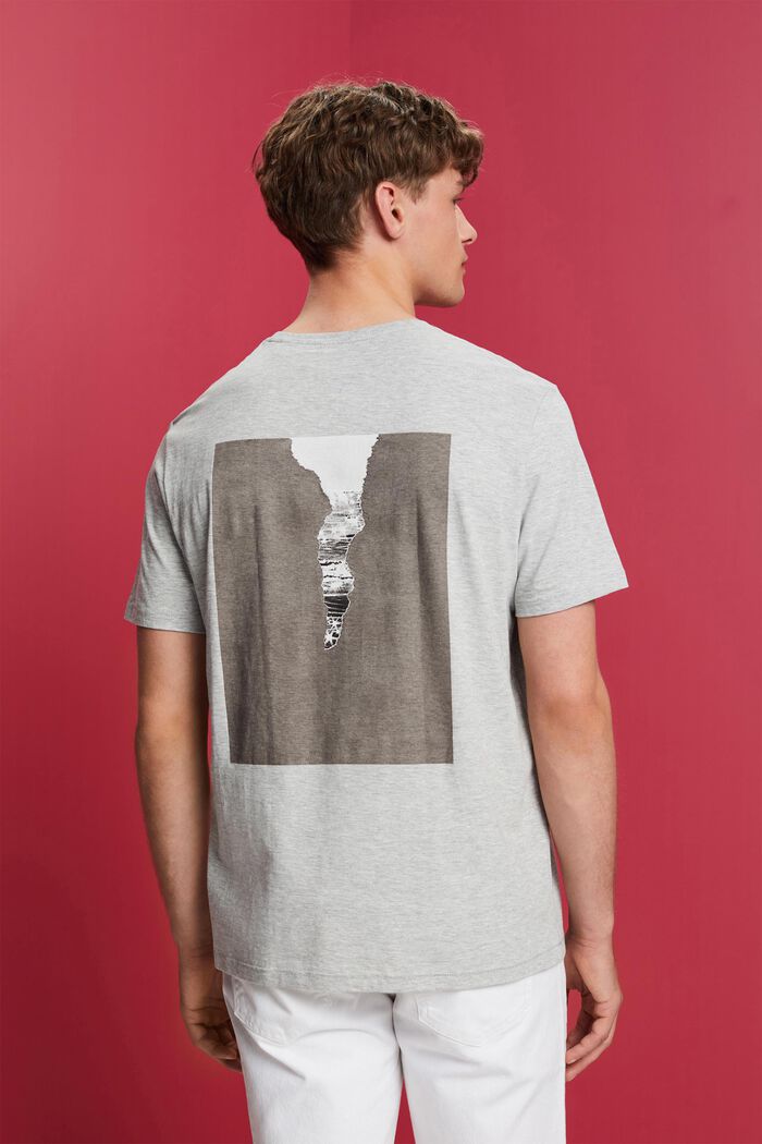 Dżersejowy T-shirt z nadrukiem z tyłu, LIGHT GREY, detail image number 3