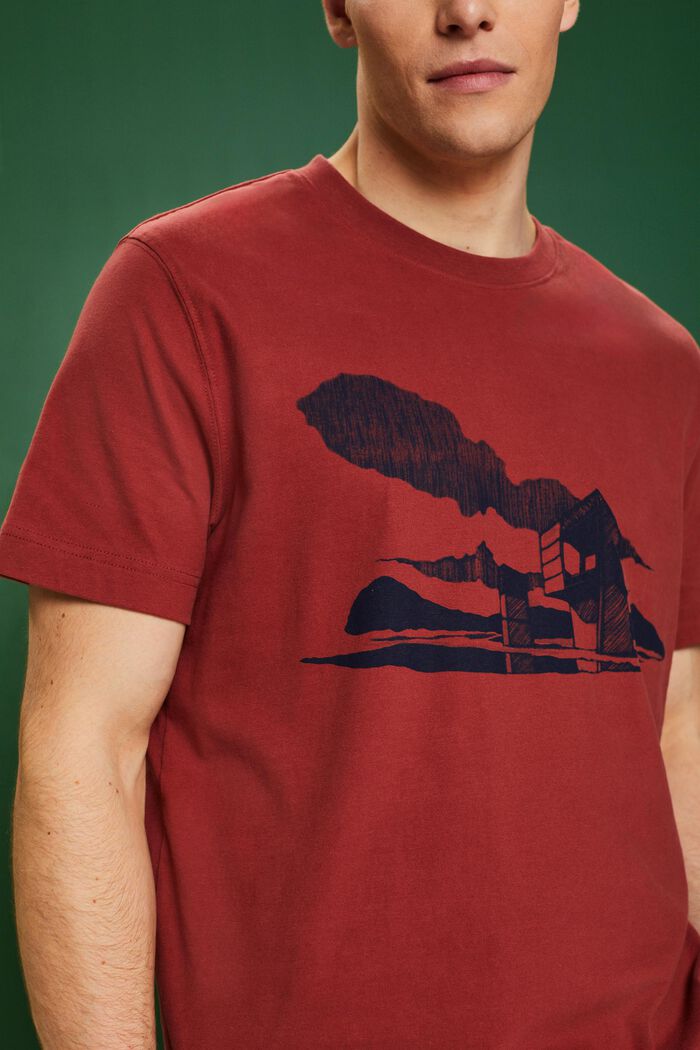 T-shirt z graficznym nadrukiem, TERRACOTTA, detail image number 2