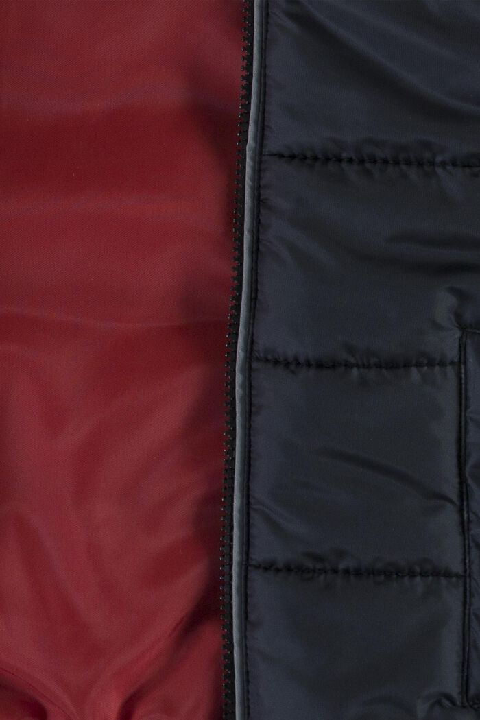 Ocieplana pikowana kurtka z kapturem, BLACK, detail image number 2