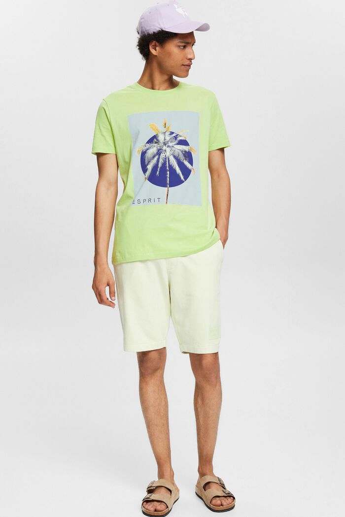 Jerseyowy T-shirt z nadrukiem, 100% bawełny, LIGHT GREEN, detail image number 0